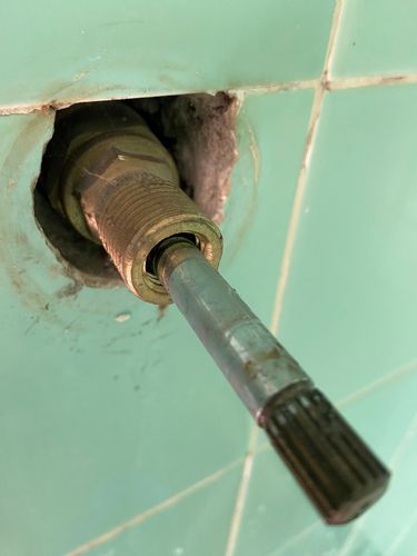 IMG_5533.jpg IMG_5533.jpg