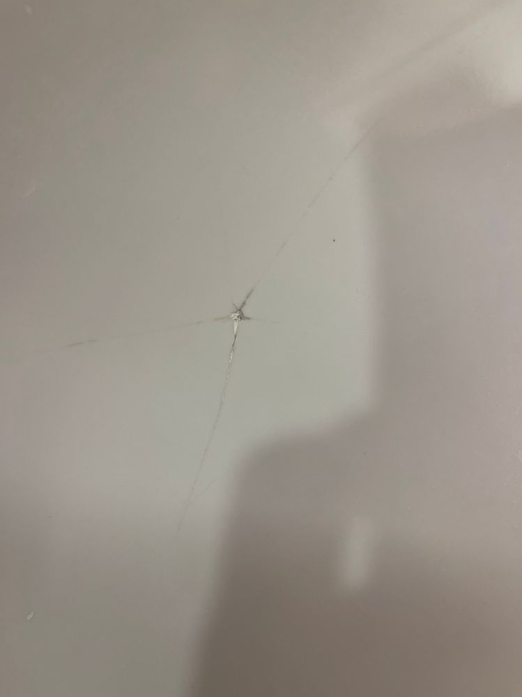 IMG_5949.jpeg IMG_5949.jpeg