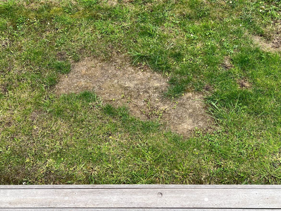 IMG_0270.JPG IMG_0270.JPG