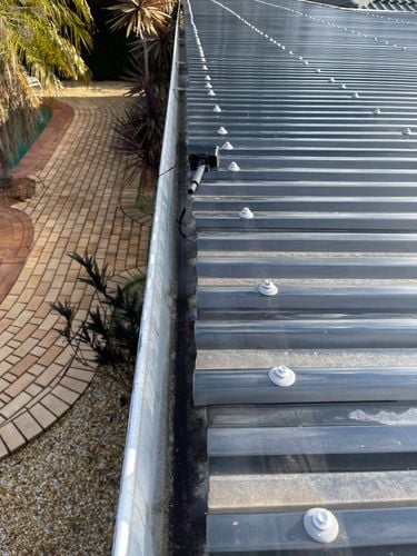 51B79B1B-C824-4C19-830C-1E6B8D0FD92B.jpeg 51B79B1B-C824-4C19-830C-1E6B8D0FD92B.jpeg