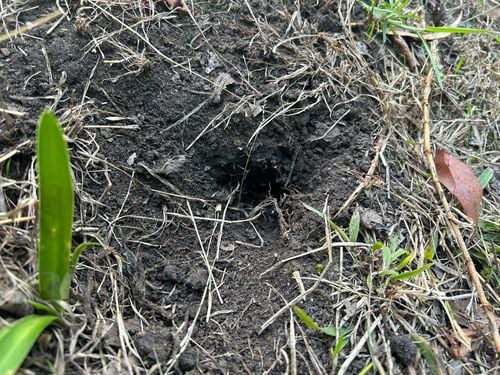 IMG_2280.jpeg IMG_2280.jpeg