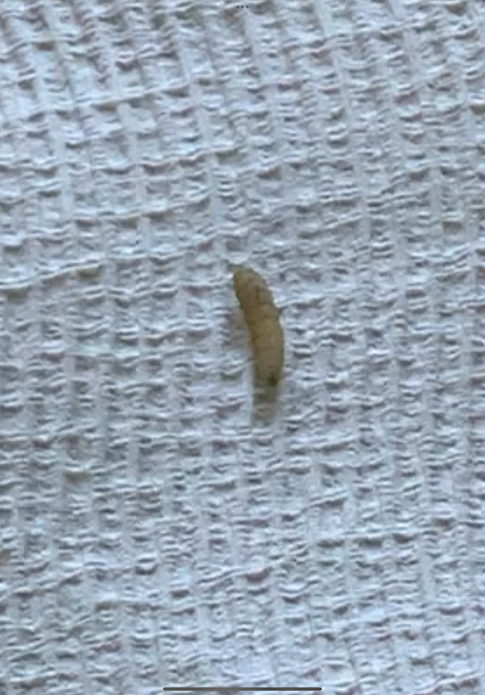 IMG_1928.png IMG_1928.png