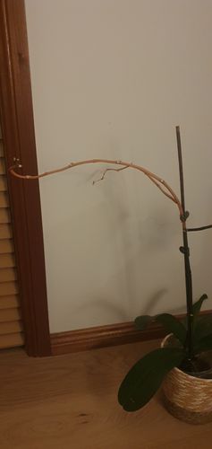 20240122_215320.jpg 20240122_215320.jpg