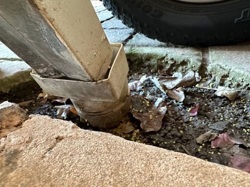 IMG_3377.jpg IMG_3377.jpg