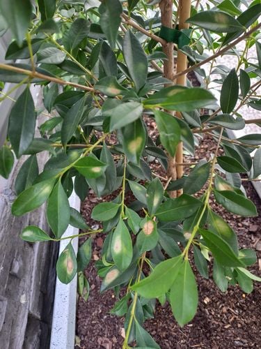 20250406_095754.jpg 20250406_095754.jpg