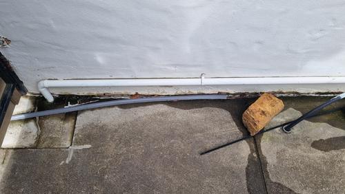 1000079413.jpg 1000079413.jpg