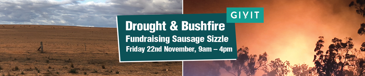 Sizzle.png Sizzle.png