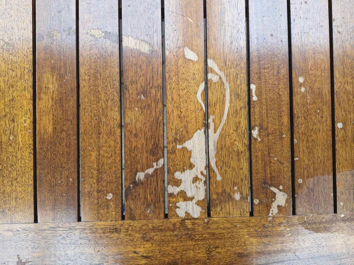 462310625_857264636528927_5255616545193703286_n.jpg 462310625_857264636528927_5255616545193703286_n.jpg