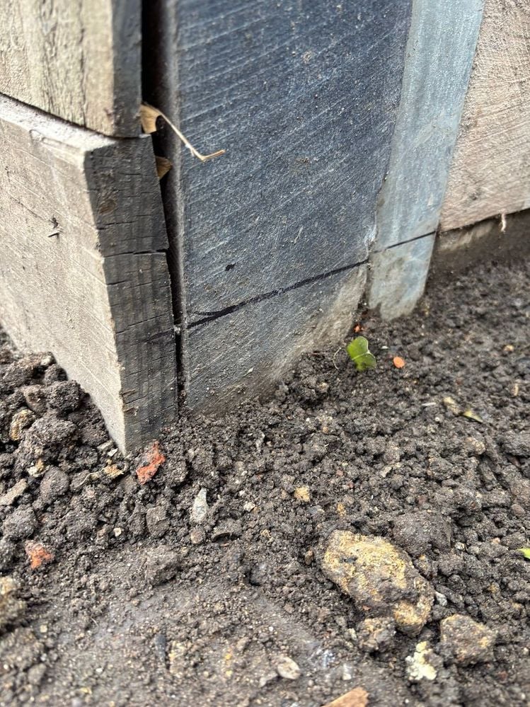 IMG_4903.JPG IMG_4903.JPG