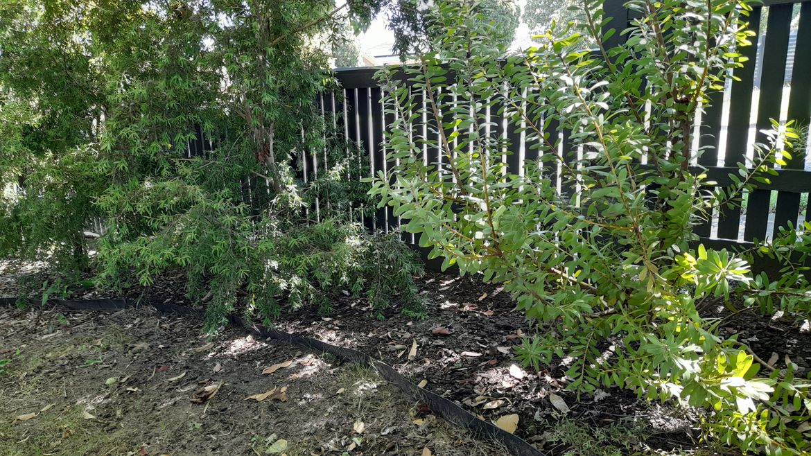 20260102_154542.jpg 20260102_154542.jpg