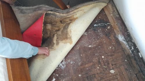 20220521_095003.jpg 20220521_095003.jpg