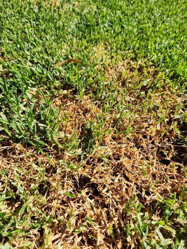 20230102_095505.jpg 20230102_095505.jpg