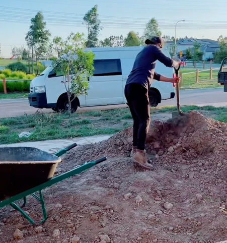 shovel_ling.png shovel_ling.png