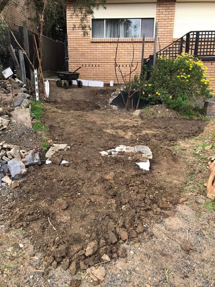 11 19-07-2022.jpg 11 19-07-2022.jpg