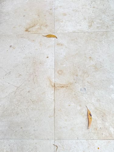 IMG_2321.jpeg IMG_2321.jpeg