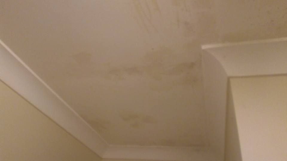 20 27-04-2018.jpg 20 27-04-2018.jpg