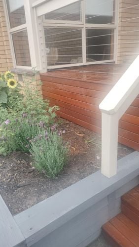 Messenger_creation_F57534F1-63FB-42A9-9303-03655CEBE075.jpeg Messenger_creation_F57534F1-63FB-42A9-9303-03655CEBE075.jpeg