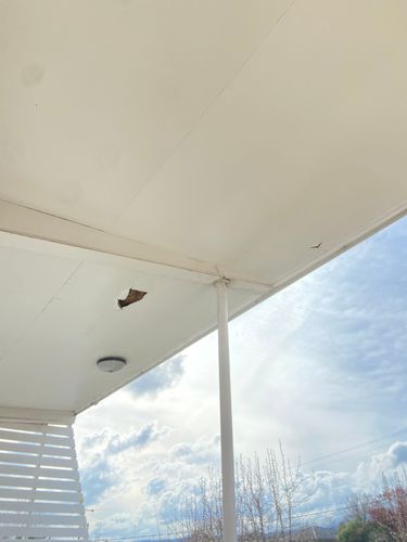 IMG_8014.jpeg IMG_8014.jpeg