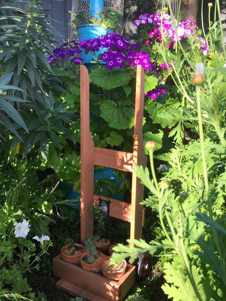 IMG_2919.jpg IMG_2919.jpg