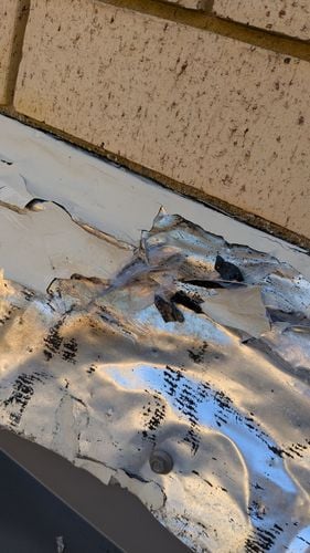 1000183299.jpg 1000183299.jpg