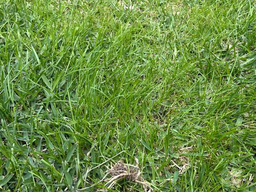 IMG_4847.jpeg IMG_4847.jpeg