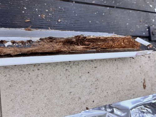 IMG_2631.jpeg IMG_2631.jpeg