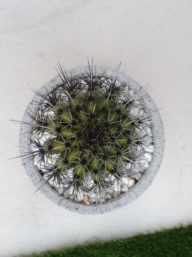 20190729_172601.jpg 20190729_172601.jpg