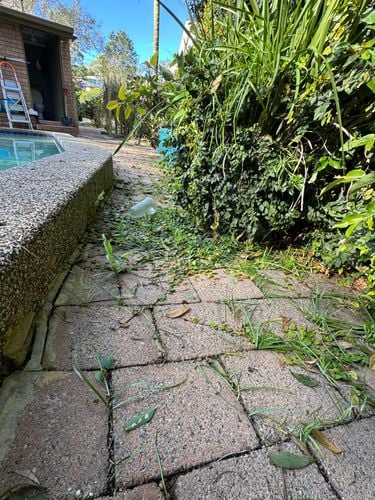 IMG_5777.jpeg IMG_5777.jpeg