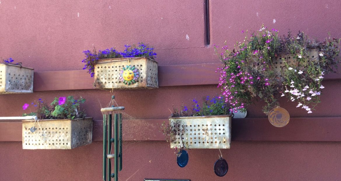 vertical flower display.jpeg vertical flower display.jpeg