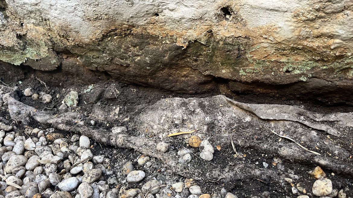 IMG_8563.jpeg IMG_8563.jpeg