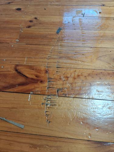 1000011009.jpg 1000011009.jpg