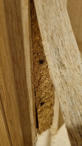 1000023546.jpg 1000023546.jpg