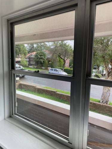 IMG_5899.jpeg IMG_5899.jpeg