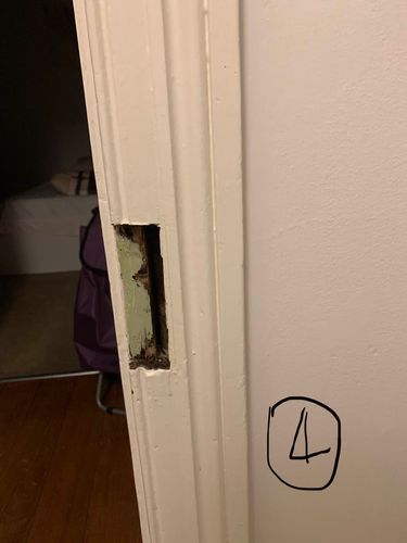 3E23C034-B069-4219-83A2-B8D2122C5310.jpeg 3E23C034-B069-4219-83A2-B8D2122C5310.jpeg