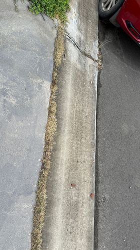 IMG_0146.jpeg IMG_0146.jpeg