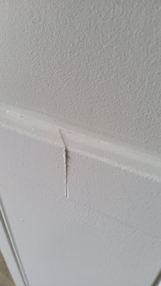 20230905_100614.jpg 20230905_100614.jpg