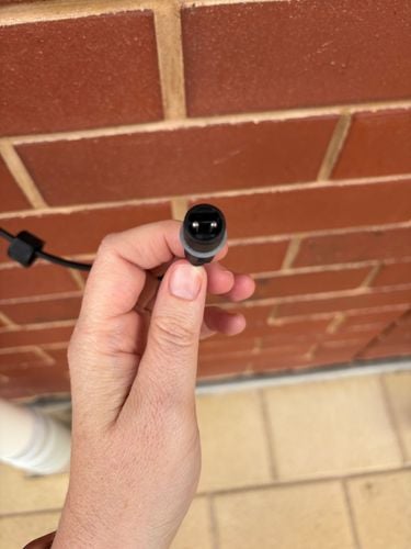 IMG_6389.jpeg IMG_6389.jpeg