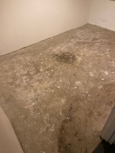 A3A26A87-FBC4-422B-AA15-FBD845954EDC.jpeg A3A26A87-FBC4-422B-AA15-FBD845954EDC.jpeg