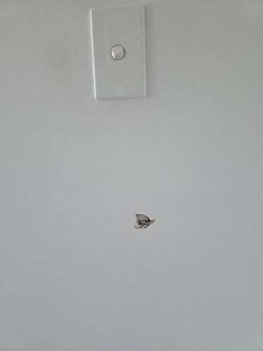 20240722_131530.jpg 20240722_131530.jpg