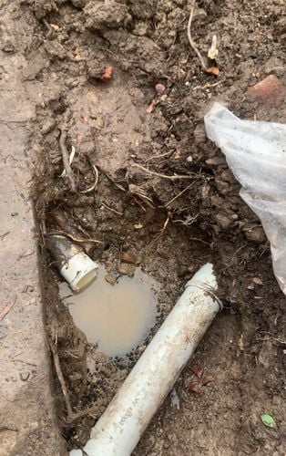 IMG_6357.jpeg IMG_6357.jpeg