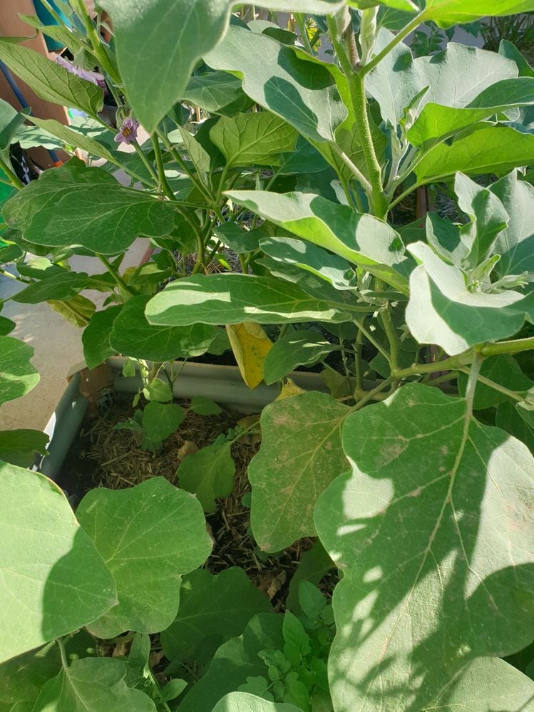 20240329_095040.jpg 20240329_095040.jpg