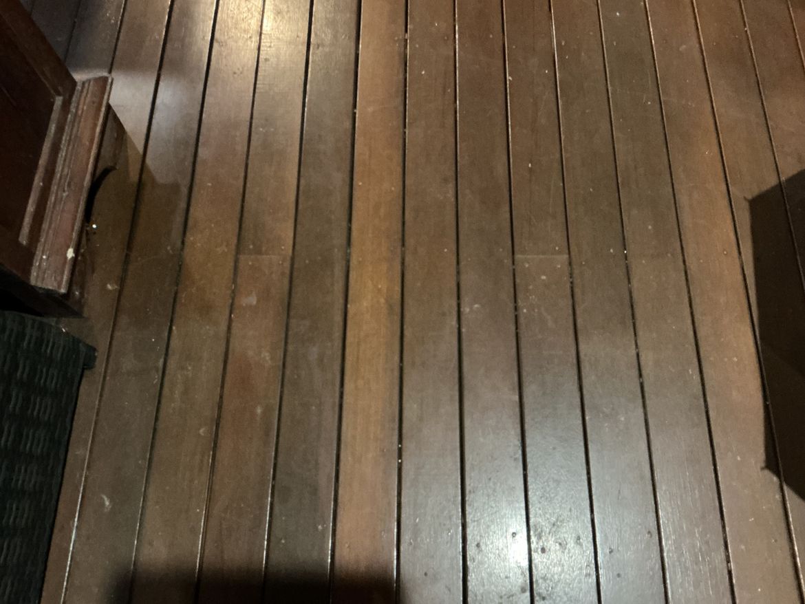 IMG_0540.jpeg IMG_0540.jpeg