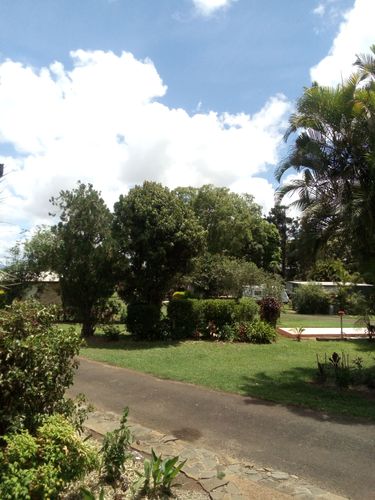 IMG_20201220_112918.jpg IMG_20201220_112918.jpg