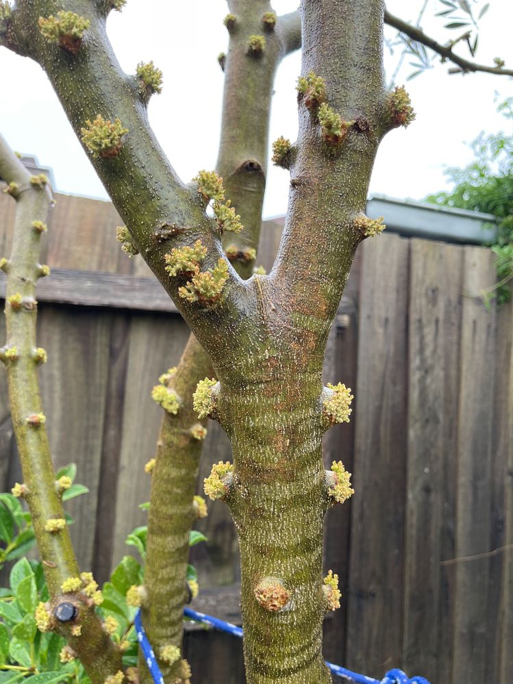 IMG_2052.jpg IMG_2052.jpg