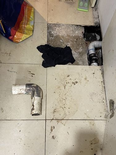 IMG_4421.jpeg IMG_4421.jpeg