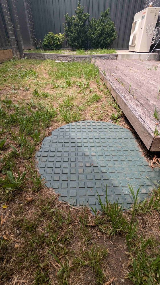 PXL_20241206_033231404.jpg PXL_20241206_033231404.jpg