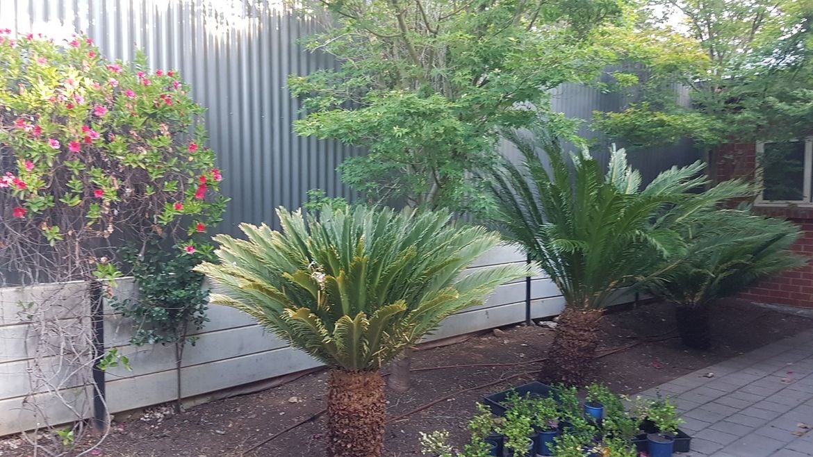 side wall.jpg side wall.jpg