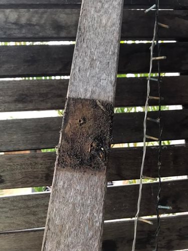 22 14-11-2023.jpg 22 14-11-2023.jpg