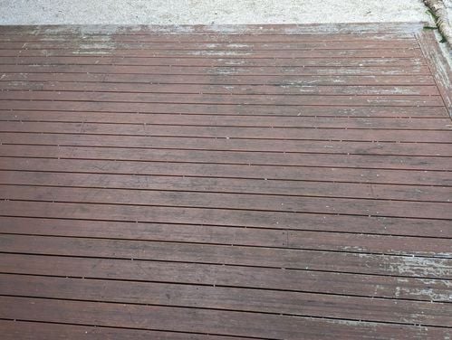 PXL_20230328_045744649.jpg PXL_20230328_045744649.jpg