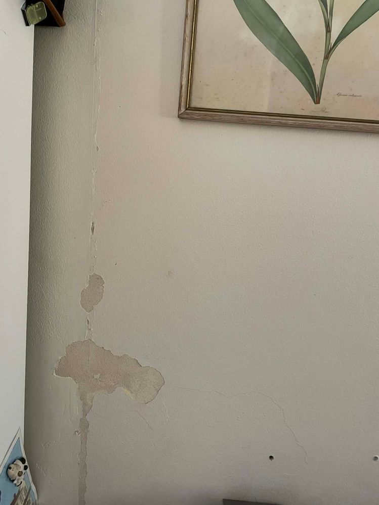 59b1a288-25a6-4ff2-a299-bec91775456c.jpg 59b1a288-25a6-4ff2-a299-bec91775456c.jpg